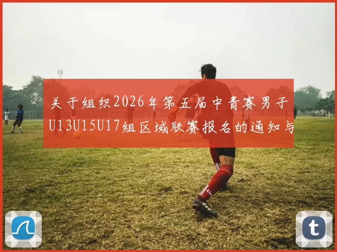 关于组织2026年第五届中青赛男子U13U15U17组区域联赛报名的通知与要求