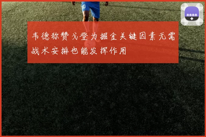 韦德称赞戈登为掘金关键因素无需战术安排也能发挥作用